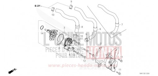POMPE A EAU CBR650RAP de 2023